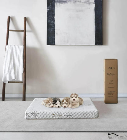 3" Invigorate Large Memory Foam Pet Bed