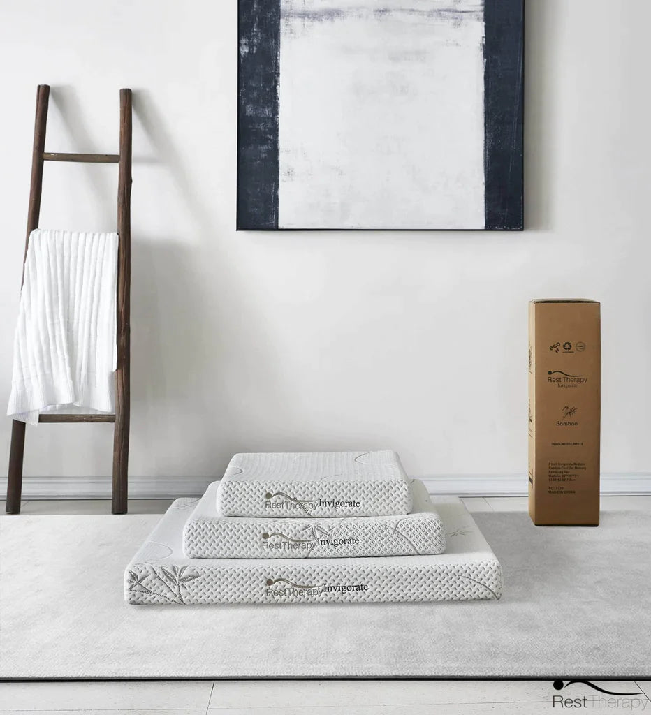 best dog beds and why