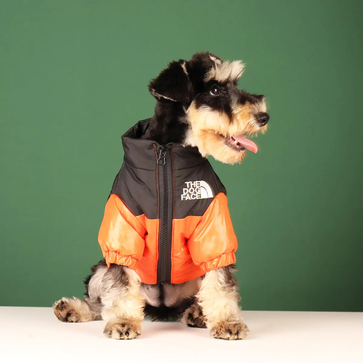 Windproof Dog Face Puffer Jacket