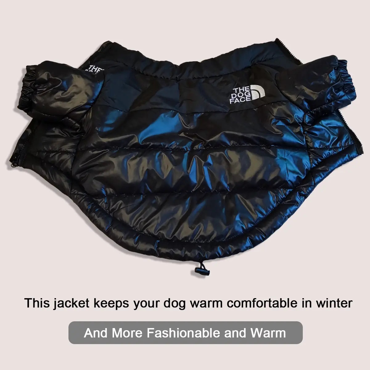 Windproof Dog Face Puffer Jacket