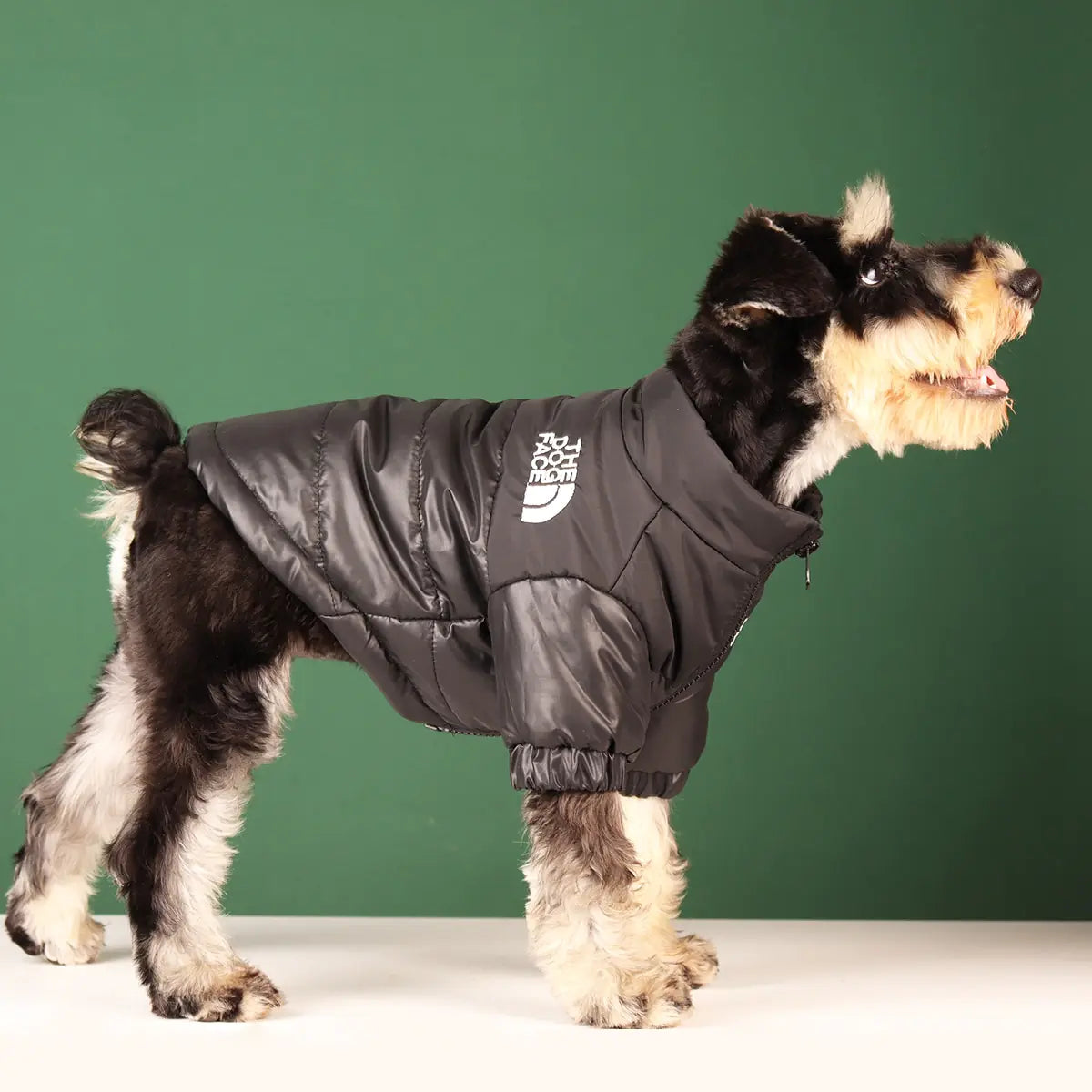 Windproof Dog Face Puffer Jacket